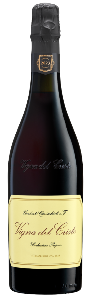 Cavicchioli Lambrusco Vigna Cristo