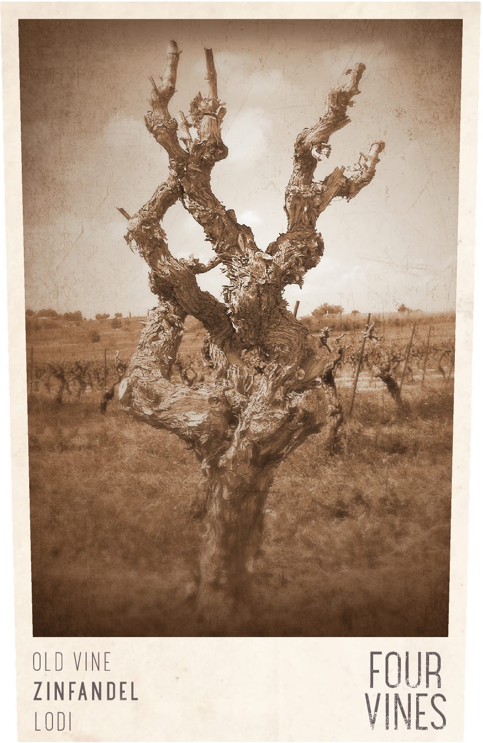 Four Vines Zinfandel Old Vine Lodi