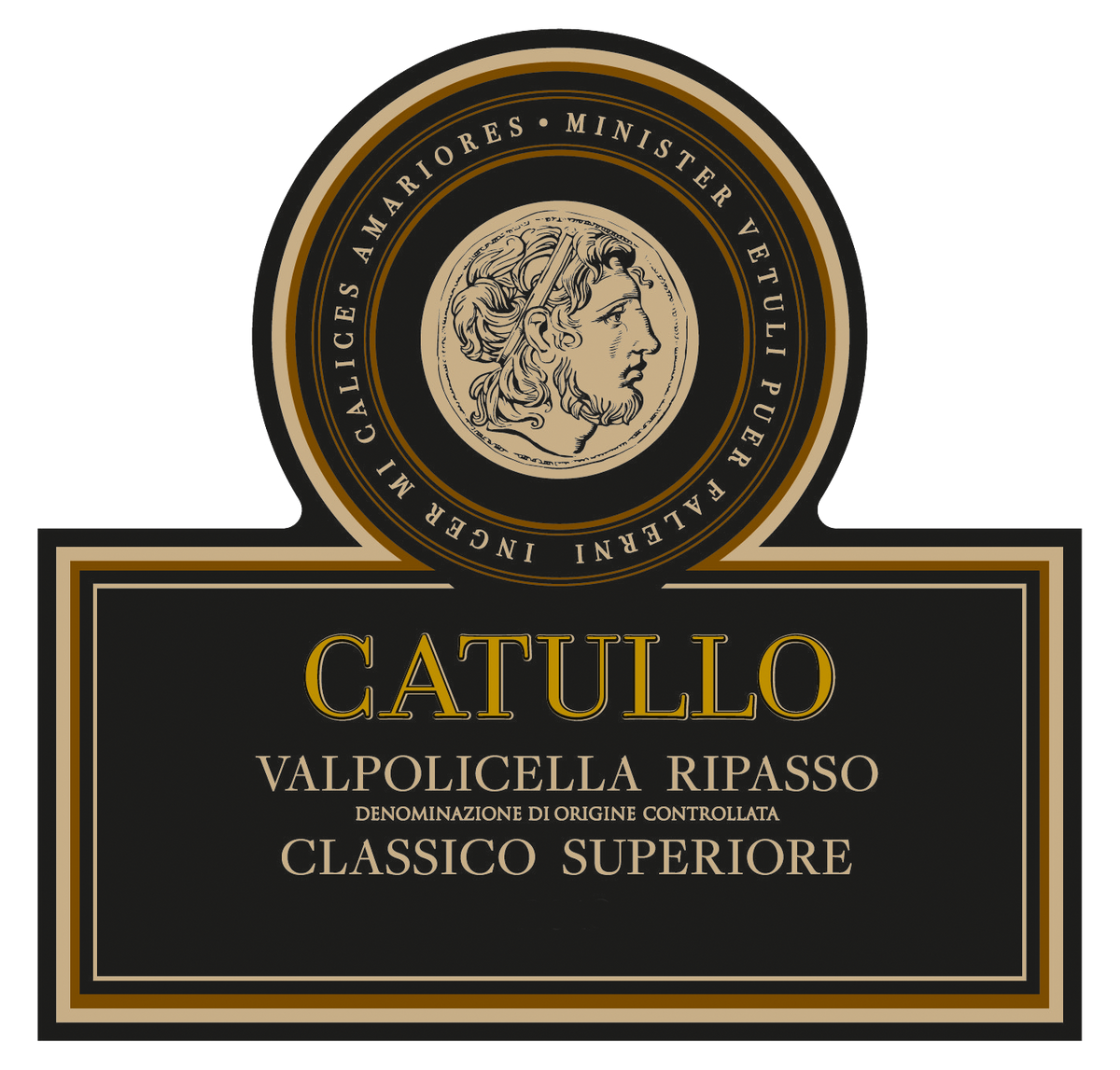 Bertani Catullo Valpolicella Ripasso Classico Superiore