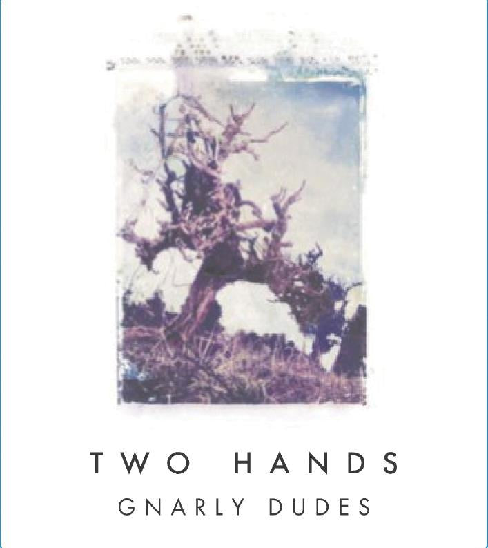 Two Hands Gnarly Dudes Shiraz