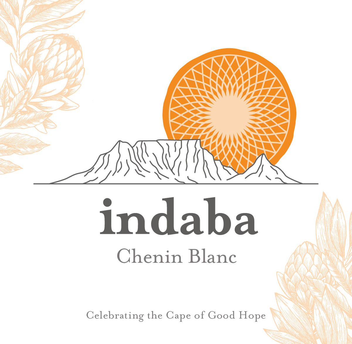 Indaba Chenin Blanc Western Cape