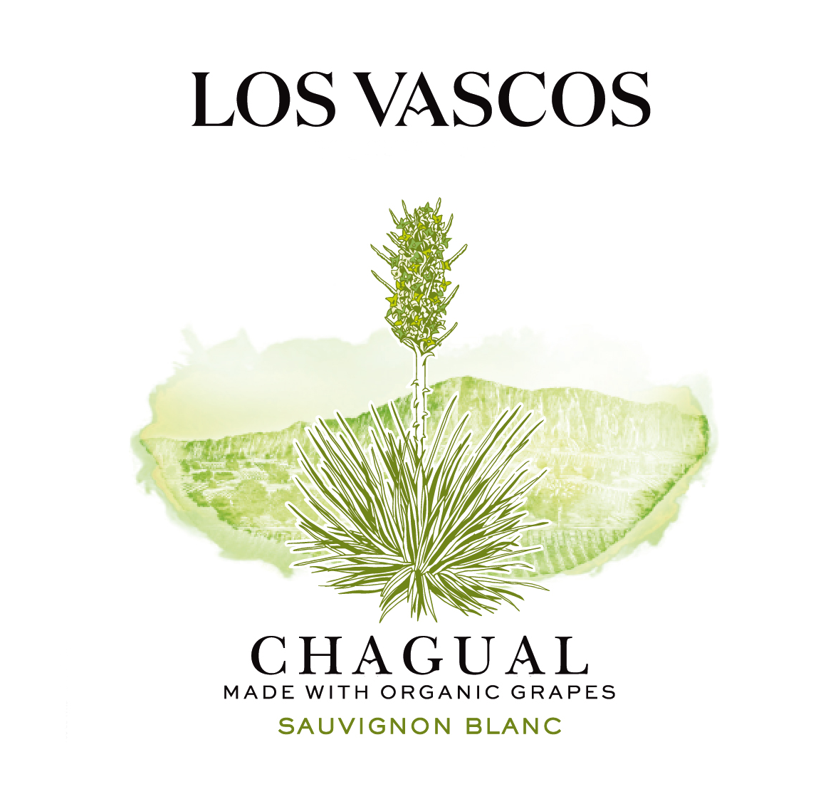 Los Vascos Sauvignon Blanc Chagual Valle de San Antonio