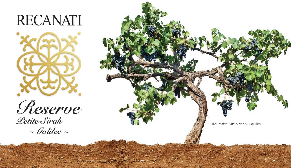 Recanati Reserve Petite Sirah
