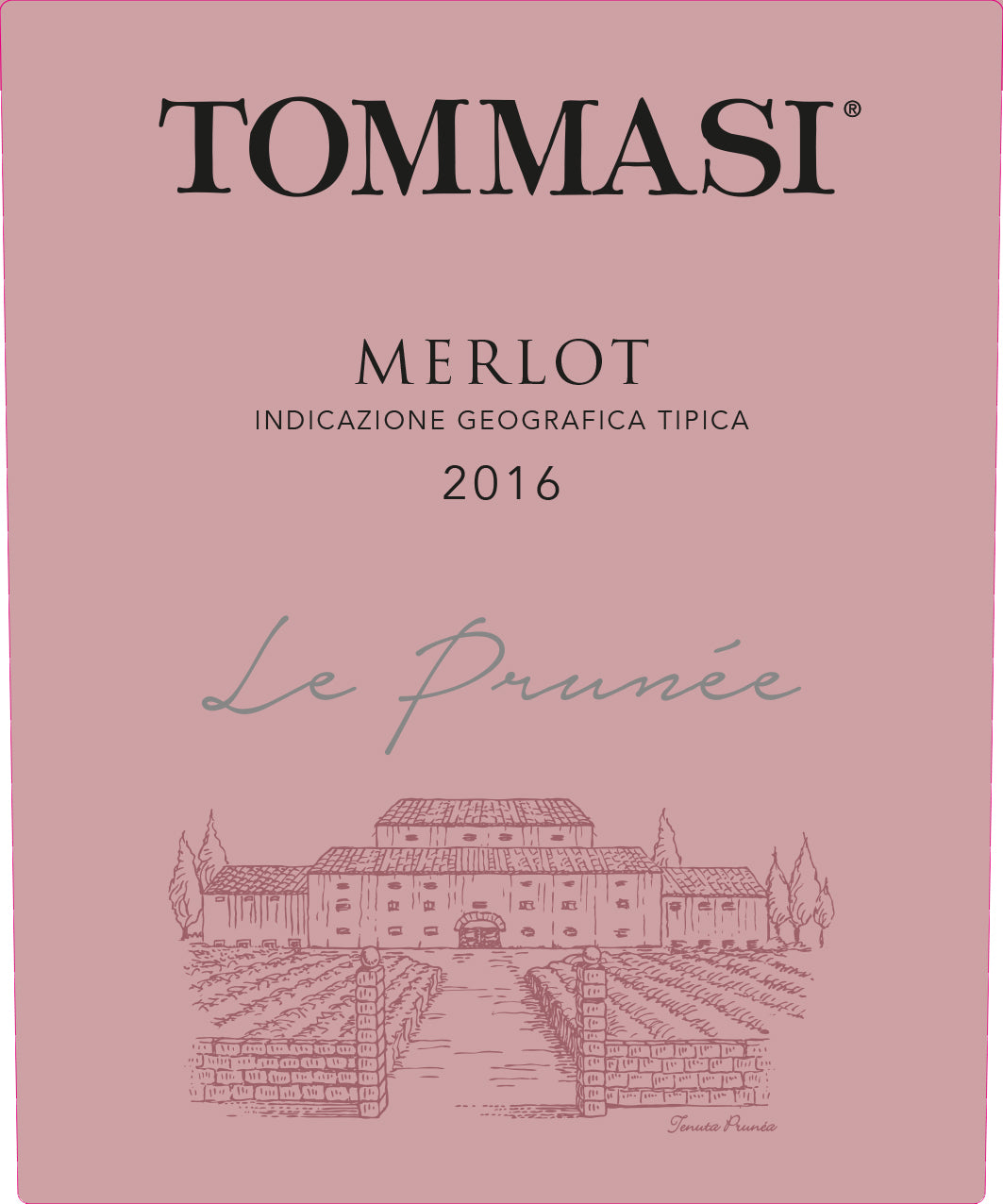 Tommasi Le Prunee Merlot