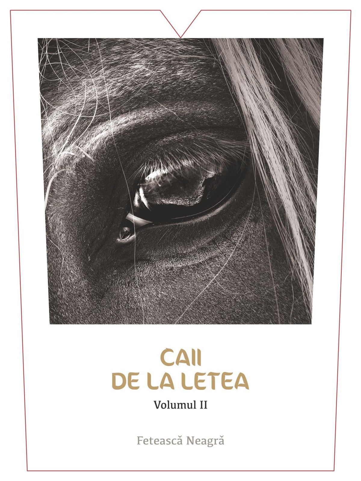 Caii De La Letea Sarica Niculitel Feteasca Neagra Volume II Dry