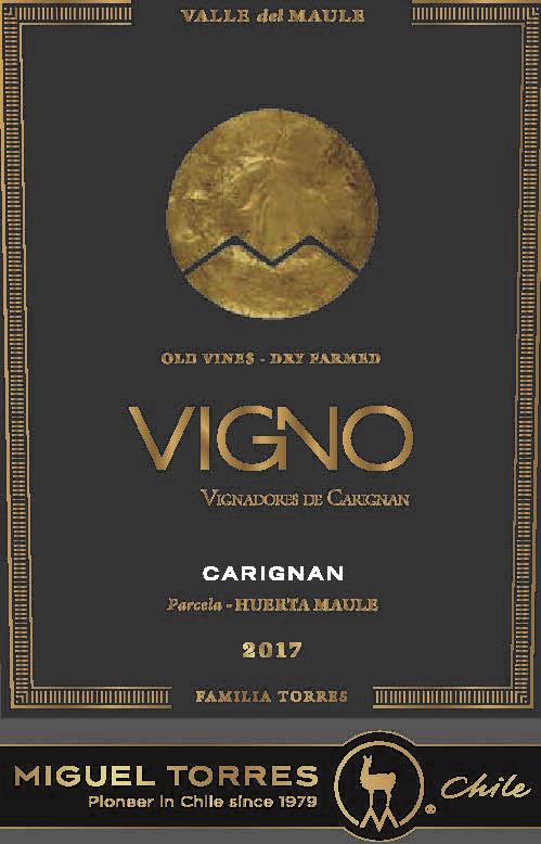 Cordillera Vigno Carignan