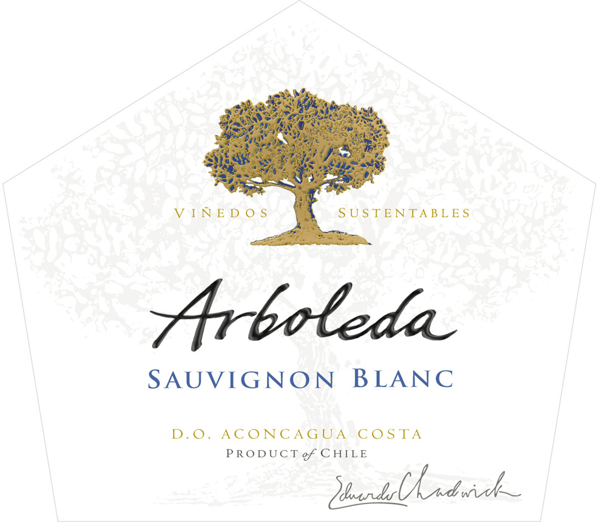 Arboleda Sauvignon Blanc