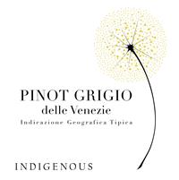 Indigenous Selections Pinot Grigio delle Venezie