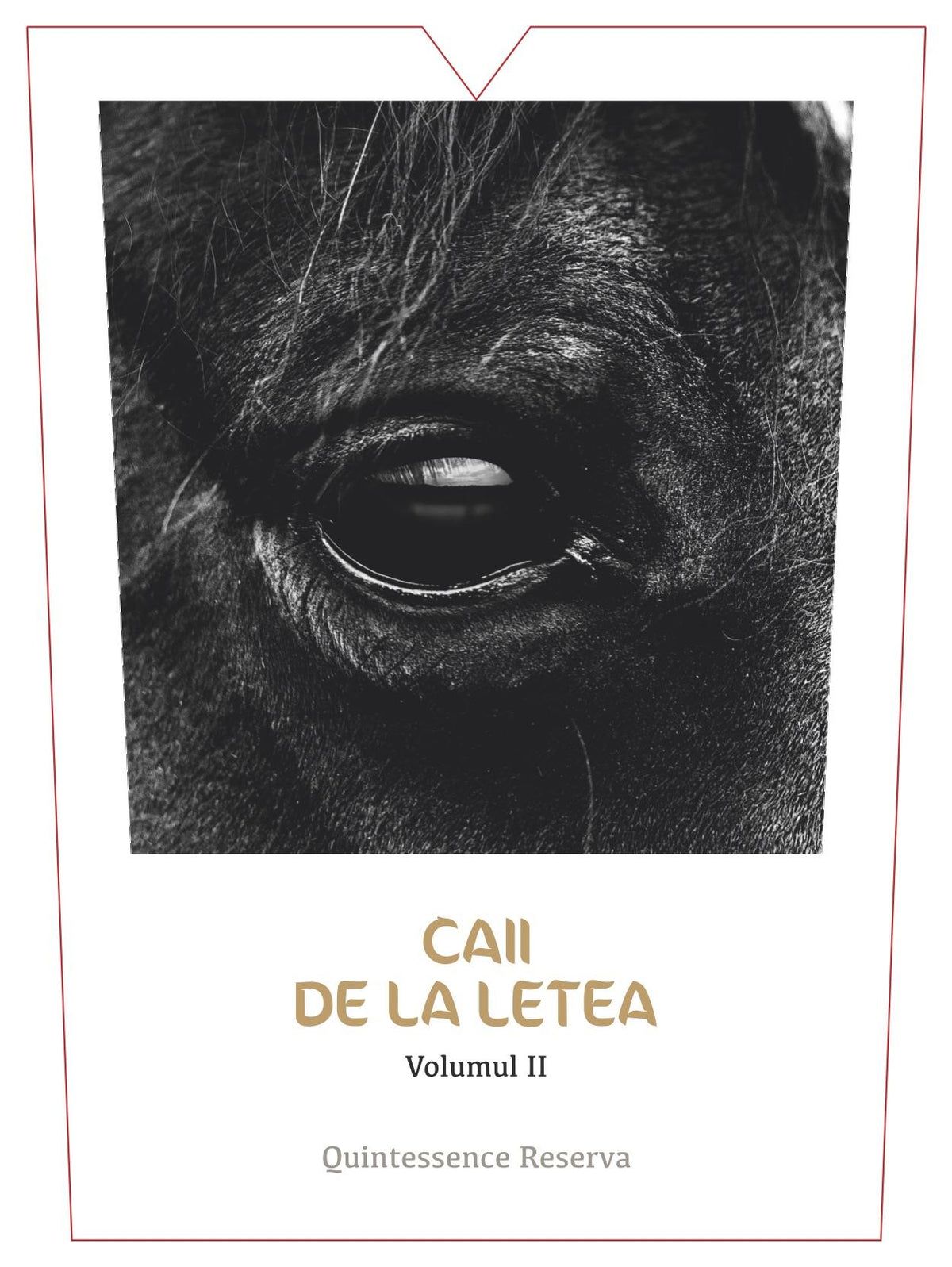 Caii De La Letea Colinele Dobrogei Quintessence Volume II Reserva Dry