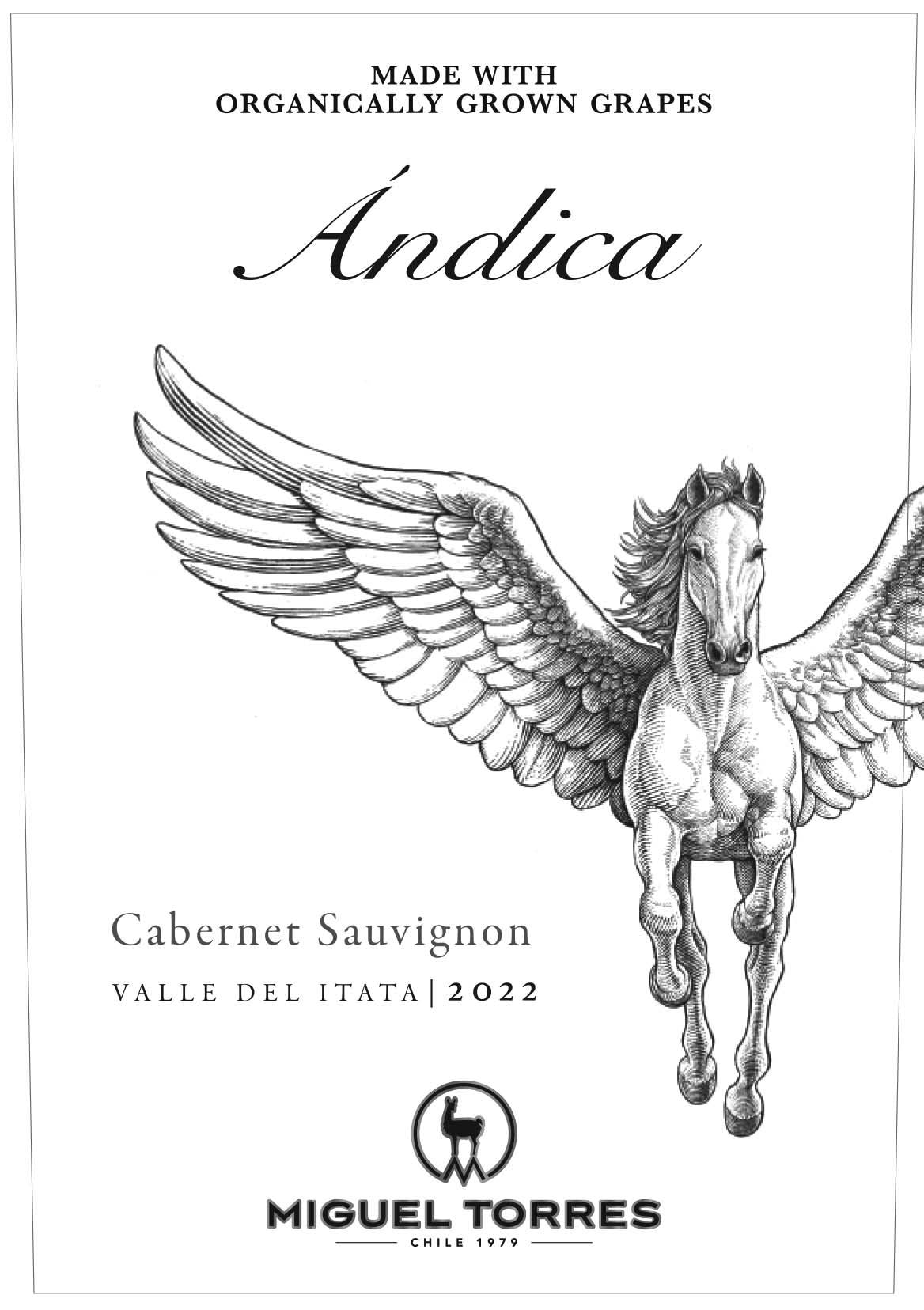 Miguel Torres Andica Cabernet Sauvignon Valle del Itata
