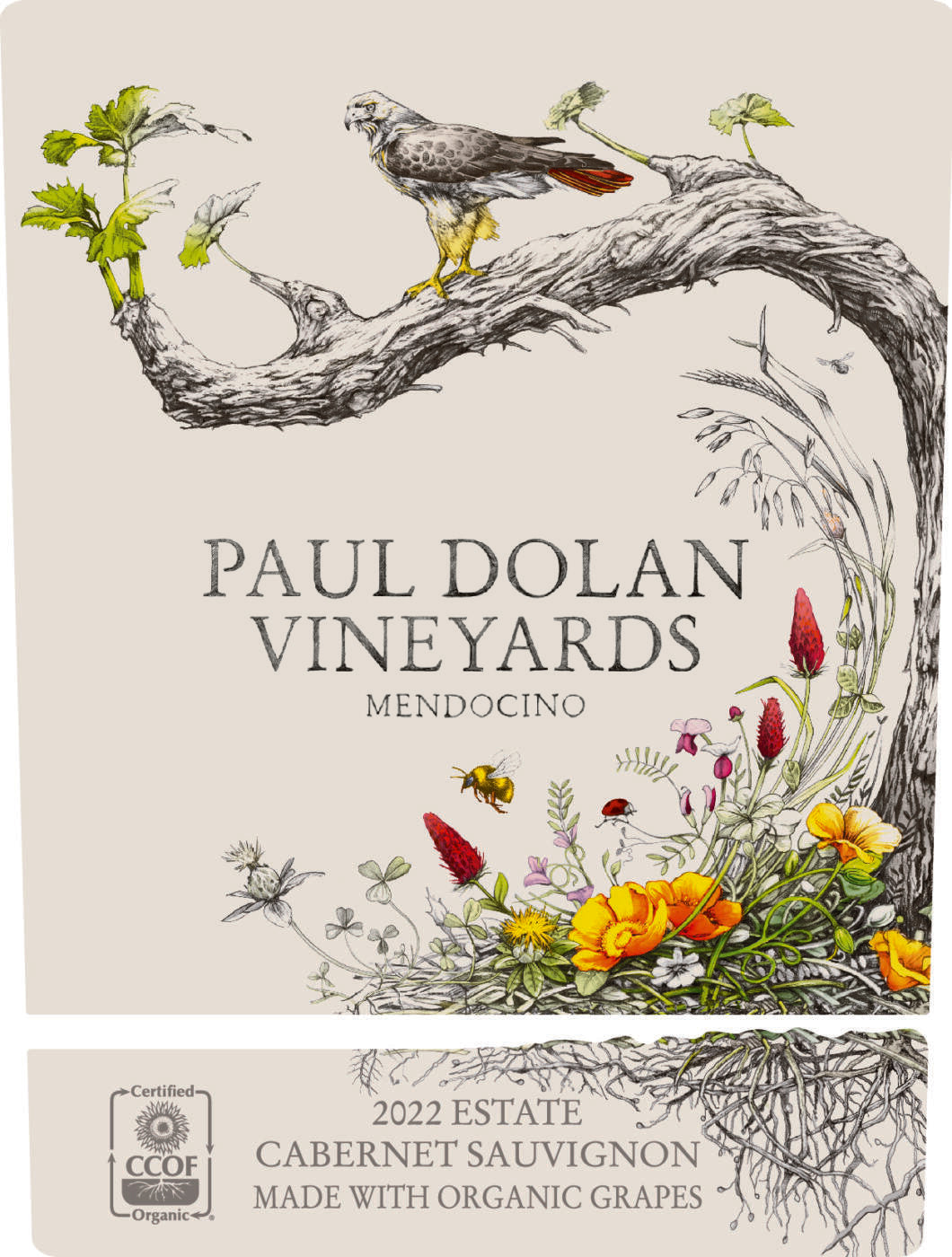 Paul Dolan Vineyards Cabernet Sauvignon Mendocino County
