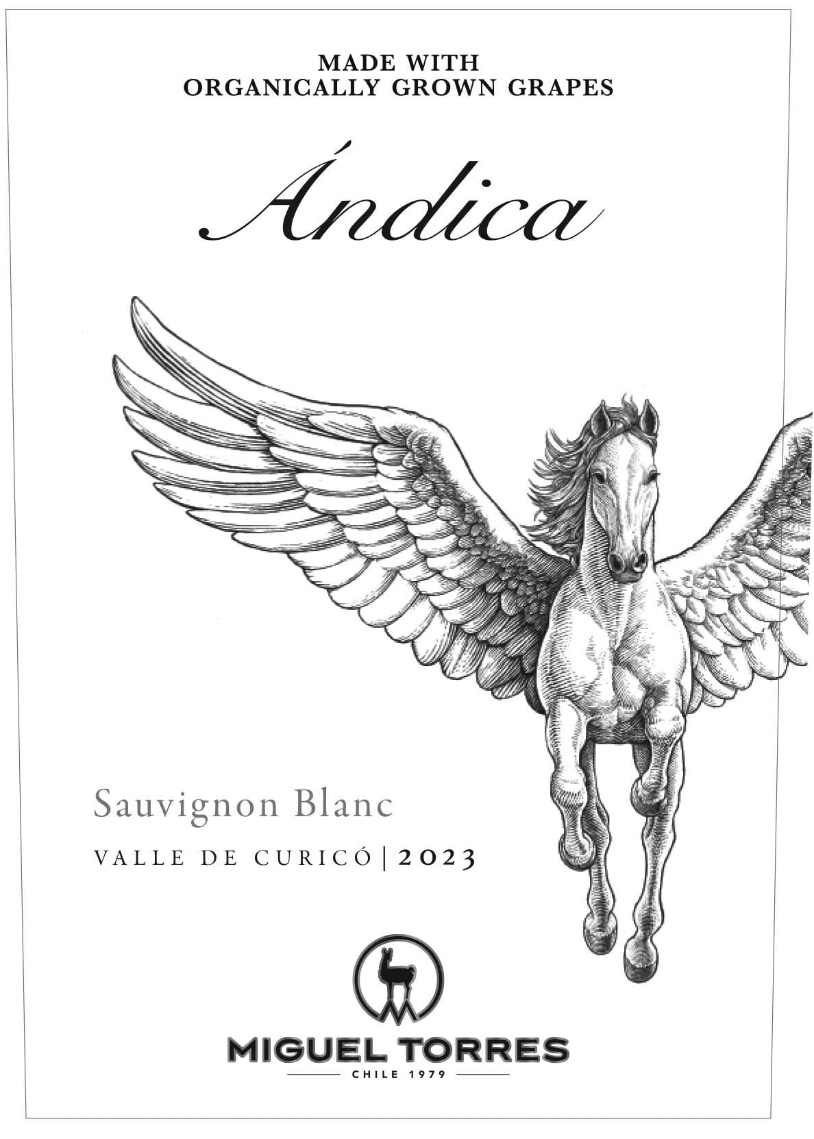 Miguel Torres Andica Sauvignon Blanc Valle del Curico