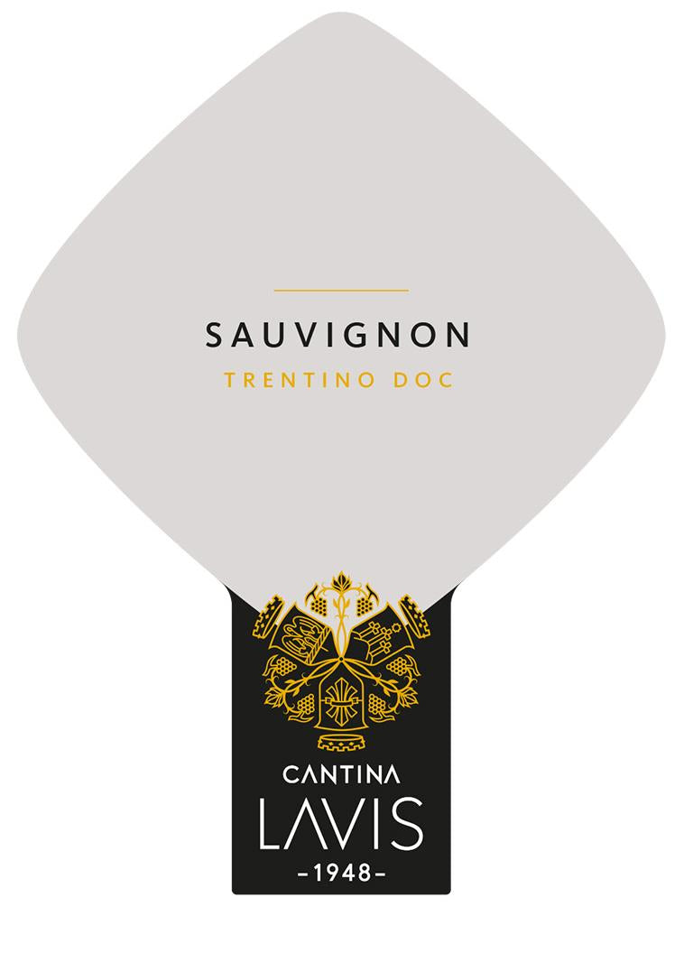 Cantina Lavis Trentino Sauvignon