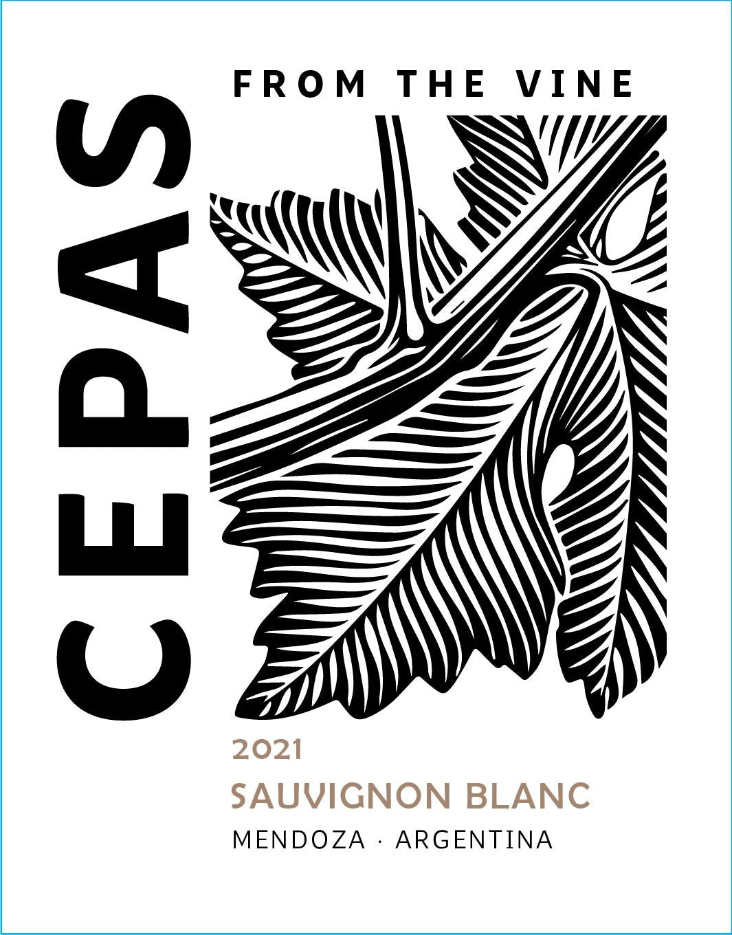 Cepas Sauvignon Blanc Mendoza