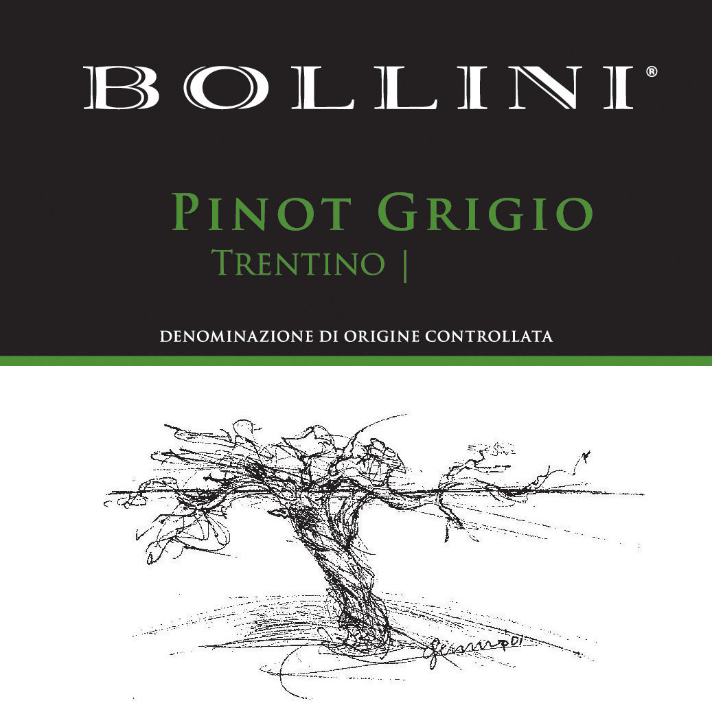 Bollini Trentino Pinot Grigio
