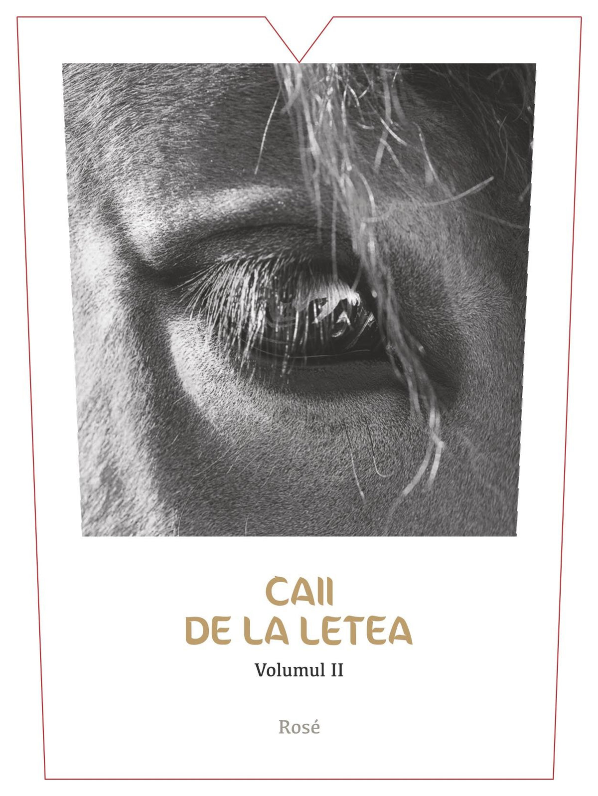 Caii De La Letea Sarica Niculitel Volume II Rosé
