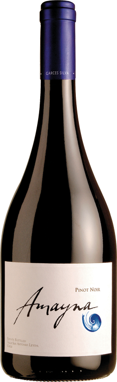 Amayna Pinot Noir Estate Bottled Leyda Valley