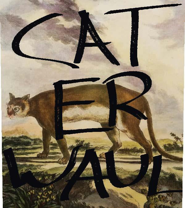 Caterwaul Napa Valley Cabernet Sauvignon